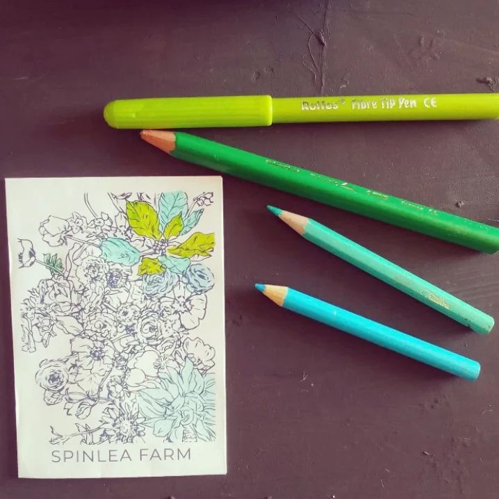 Spinlea Farm Mindful Colouring Seed Collection The Mohair Mill Shop